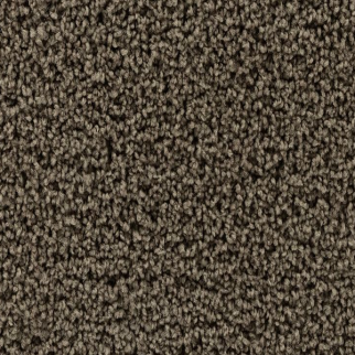 Horizon Carpet Winning Hand III Wilderness Mohawk