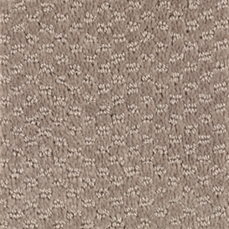 Mohawk Carpet Dynamo Taupe Treasure Mohawk