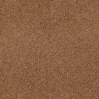 Aladdin Carpet Accelerator Plus Spicecake Mohawk