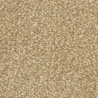 Masland Carpets Staccato Rhythm Masland