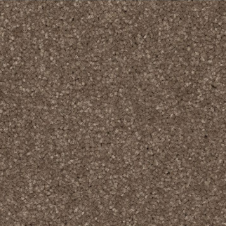 Mohawk Carpet Quality Feeling Firewood Mohawk