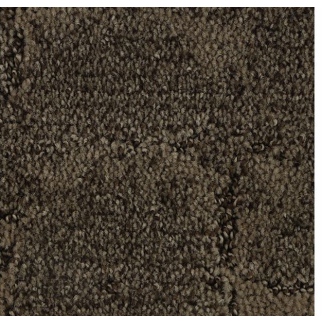 Horizon Carpet Elaborate Appeal Sequoia Mohawk