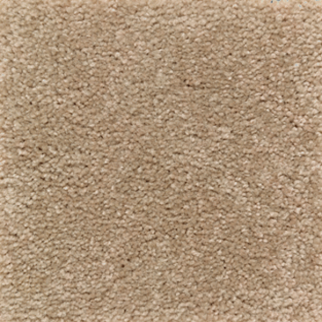 Mohawk Carpet Homefront I Spiced Tea Mohawk