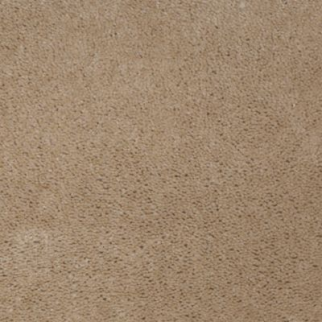 Aladdin Carpet Accelerator Plus Almond Mohawk