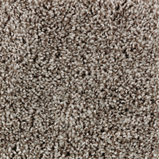 Mohawk Carpet Perfect Attraction Dark Fudge Mohawk