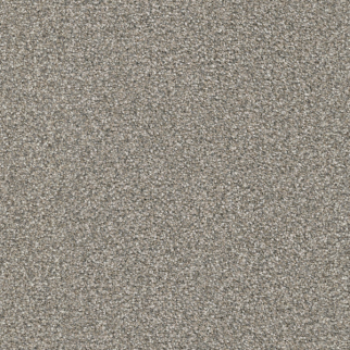 Masland Carpets Tracker Scooby Masland