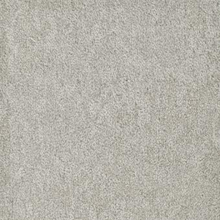 Masland Carpets Buena Vida Vision Masland