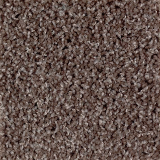 Mohawk Carpet Authentic Escape Molten Penny Mohawk