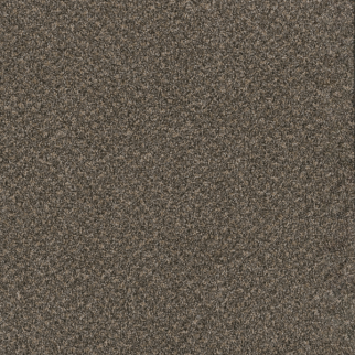 Dreamweaver Carpet Toast Of The Town Wrought Iron DREAMWEAVER