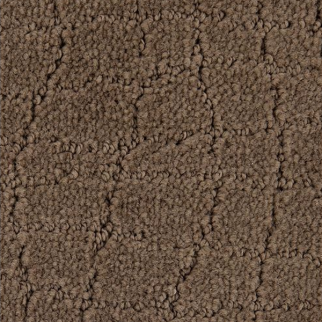 Mohawk Carpet Posh Appeal Dakota Mohawk