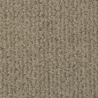 Masland Carpets Pinehurst Graphite Masland