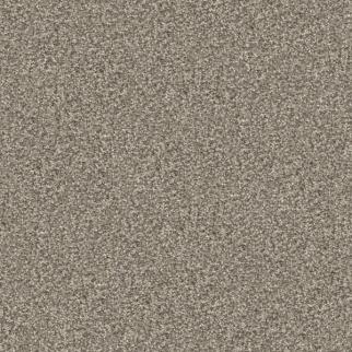 Masland Carpets Hunter Lassie Masland