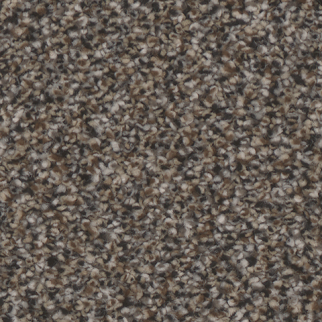 Tarkett Home Carpets Summerland Ritzy LEXMARK