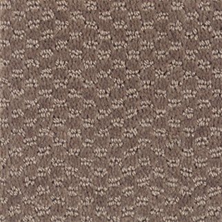 Mohawk Carpet Dynamo Wild Frontier Mohawk