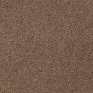 Aladdin Carpet Accelerator Plus Dusty Track Mohawk