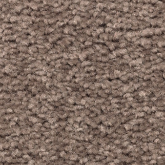Mohawk Carpet Treasure Valley Nomad Mohawk