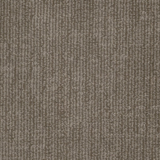 Dixie Home Bengal Felicette