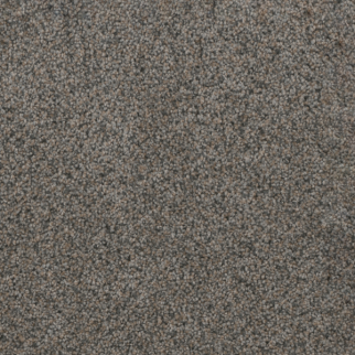 Dreamweaver Carpet Trendsetter I Ash Grove DREAMWEAVER