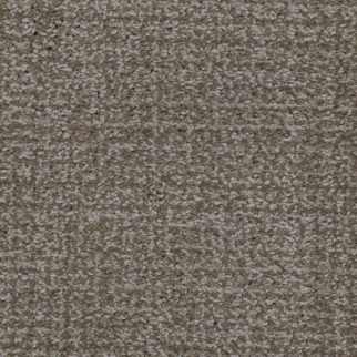 Masland Carpets Pedigree Brad Pitbull Masland