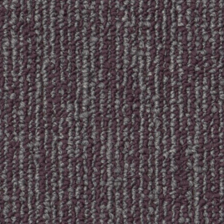 Shaw Floors Engrain Principle SHAW