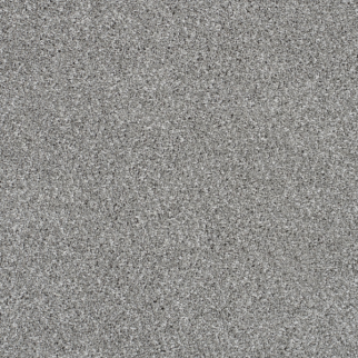 Dreamweaver Carpet Trendsetter I Moonstone DREAMWEAVER