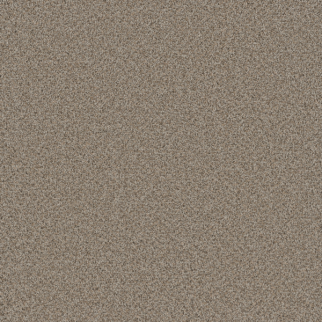 Dreamweaver Carpet Cosmopolitan II Stucco DREAMWEAVER