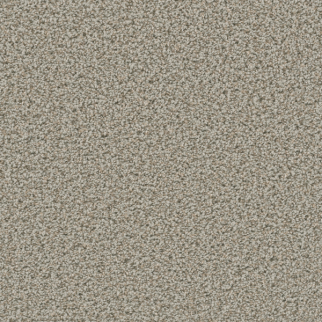 Dreamweaver Carpet Dazzling Stucco DREAMWEAVER
