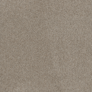Dreamweaver Carpet Stunning Stucco DREAMWEAVER