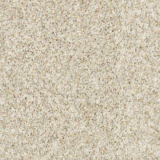 Mohawk Carpet Claws And Effect I London Fog Mohawk