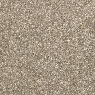 Mohawk Carpet Dynamic Quality I Iron Clad Mohawk