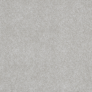 Dreamweaver Carpet Star Struck Slumber DREAMWEAVER