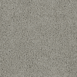 Dreamweaver Carpet Tracker Chrome DREAMWEAVER