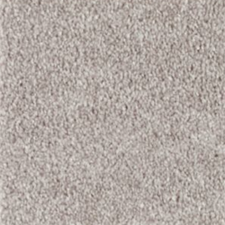 Mohawk Carpet True Melody Steambath Mohawk