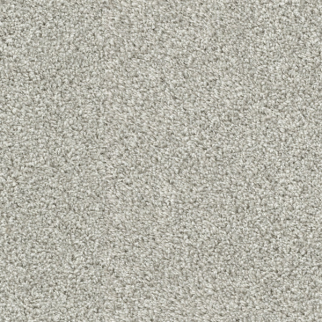 Dixie Home Big Idea Quartz
