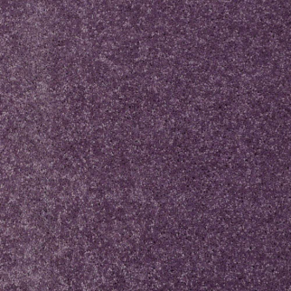 Shaw Floors Newbern Classic 12 Violet Crush SHAW