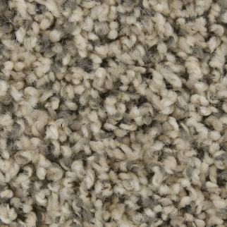 Mohawk Carpet Color Fusion II Retreat Mohawk