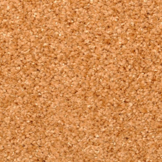 Masland Carpets Opalesque Neon Carrot Masland