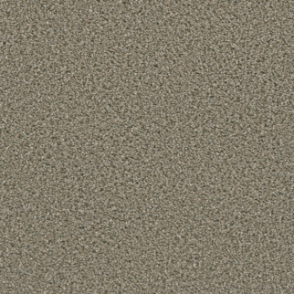 Dreamweaver Carpet Dazzling Ash DREAMWEAVER