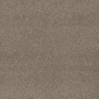 Dreamweaver Carpet Stunning Ash DREAMWEAVER