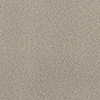 Dreamweaver Carpet Star Struck Ash DREAMWEAVER