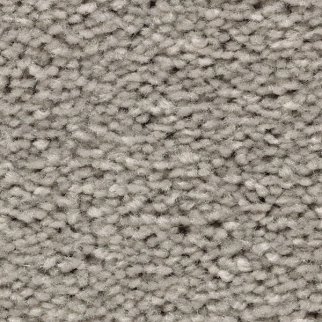 Mohawk Carpet Treasure Valley Downtown Mohawk