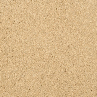 Masland Carpets Oceanside Ambiance Masland