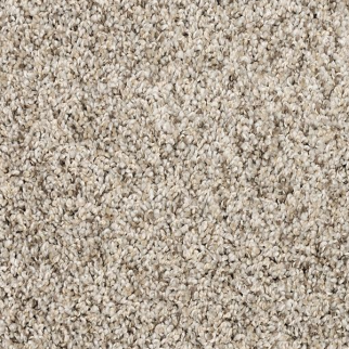 Mohawk Carpet Purrsonality I Oyster Mohawk