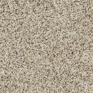 Mohawk Carpet Raise The Woof II Oyster Mohawk