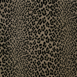 Stanton Carpet Linus Silversmith Stanton