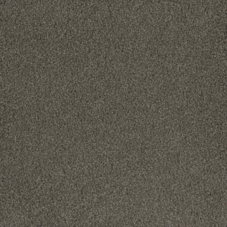 Dreamweaver Carpet Hammond Creek II Riverbed DREAMWEAVER