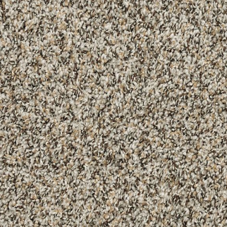 Mohawk Carpet Raise The Woof I Highway Mohawk