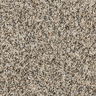 Mohawk Carpet Purrsonality III Highway Mohawk
