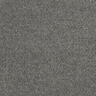 Dreamweaver Carpet Hollywood Pavilion DREAMWEAVER