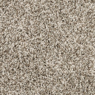 Mohawk Carpet Purrsonality I Pebble Trail Mohawk